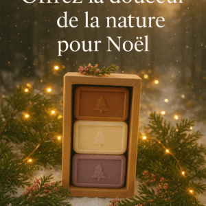 PACK DE NOËL 1